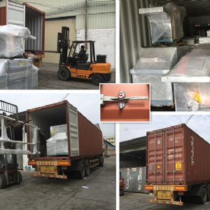 出口-印尼、馬來西亞，泰國、非洲、澳大利亞、歐洲等多個國家