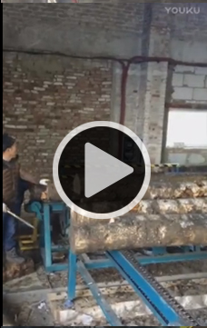 方木多片鋸，全自動(dòng)圓木方木生產(chǎn)流水線(xiàn)加工