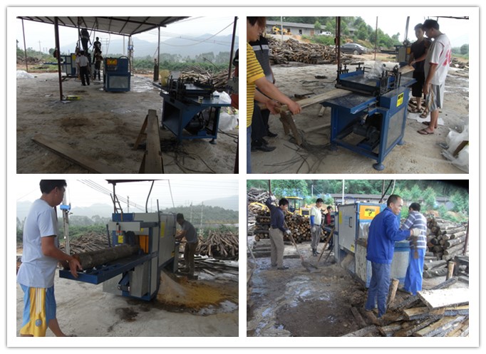 廣東韶關(guān)市馬壩-原木多片鋸、清邊機(jī)工作圖