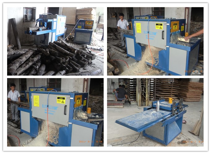 安徽蕪湖-原木多片鋸、清邊機工作圖