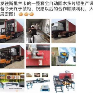 發(fā)往斯里蘭卡客戶的多片鋸專柜