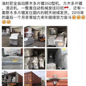 2017年發(fā)貨國(guó)外rn400-250型原木多片鋸生產(chǎn)線&nbsp;，鋸木機(jī)生產(chǎn)線