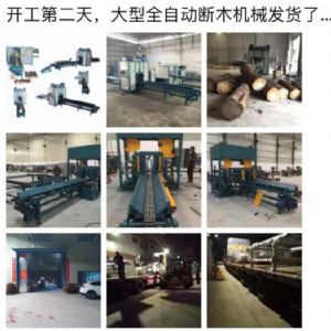 2017年發(fā)貨國(guó)內(nèi)250型原木斷木機(jī)生產(chǎn)線&nbsp;圓木截木機(jī)，鋸木機(jī)生