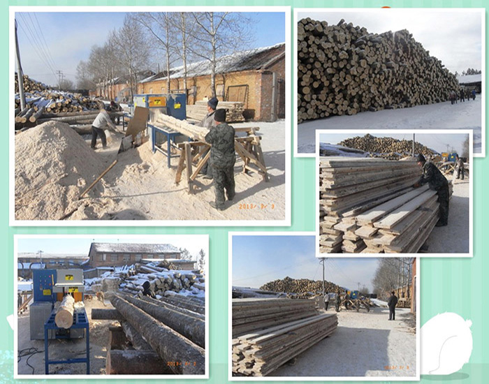 產(chǎn)品名稱：黑龍江伊春新青區(qū)-鋸洛葉松-350原木多片鋸-加工現(xiàn)
