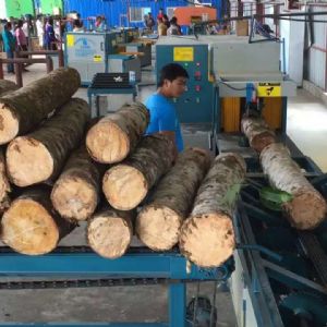 全自動(dòng)多片鋸生產(chǎn)線在斯里蘭卡客戶(hù)現(xiàn)場(chǎng)1