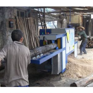 韶關(guān)樂昌城200圓木多片鋸加工現(xiàn)場(chǎng)